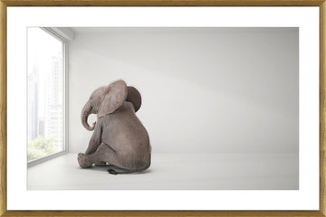Elephant Day Dreams Print
