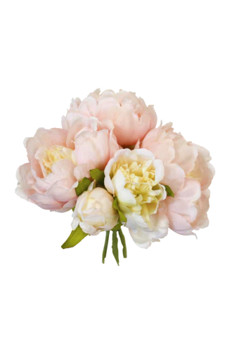 Mini Peony Bouquet Pink Peach