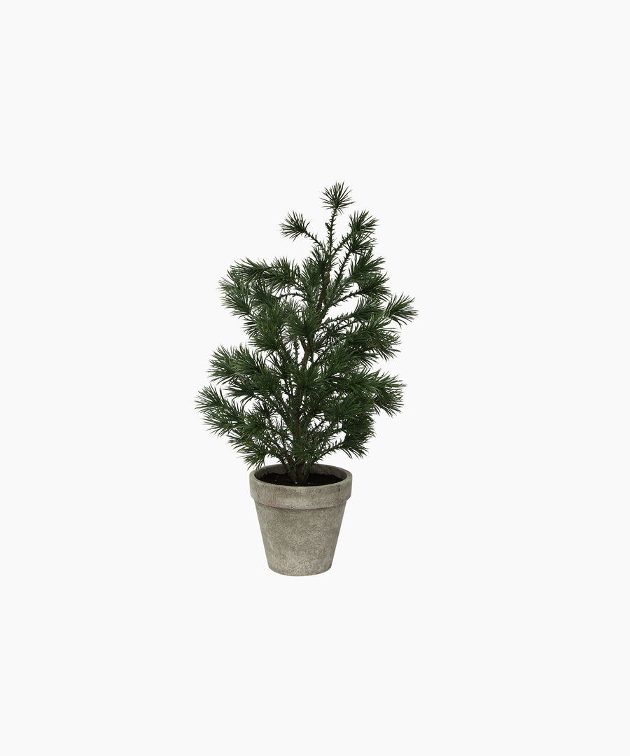 Table Pine Tree Small