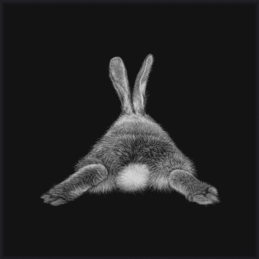 Box Frame - Cotton Tail/30cm