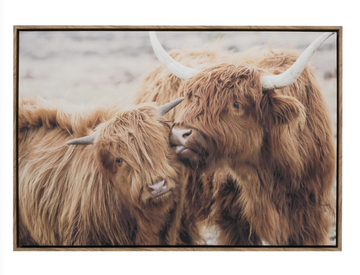 Home Sweet Home Highland Cows Framed Canvas