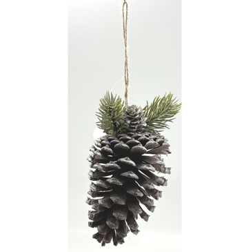 Pine Cone Hanging
