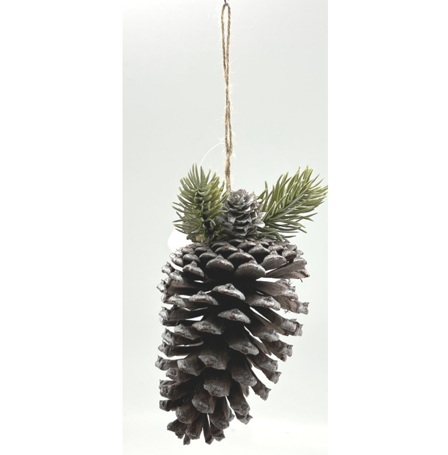 Pine Cone Hanging
