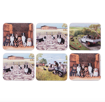 Working Dogs 6pk Coaster