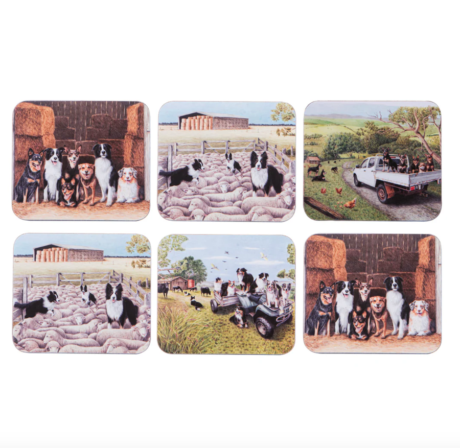 Working Dogs 6pk Coaster