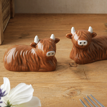 Farm Highland Cow Salt & Pepper Set
