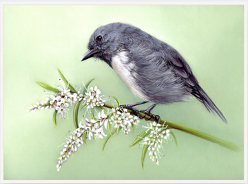 Box Frame - Robin & Hebe