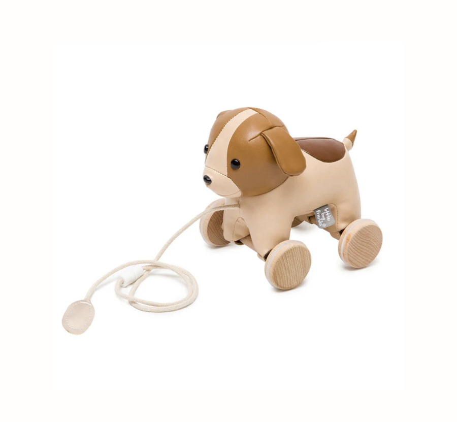 Pull Along - Adrien the Dog