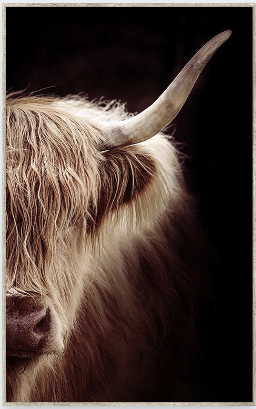 Box Frame - Hair and Horns