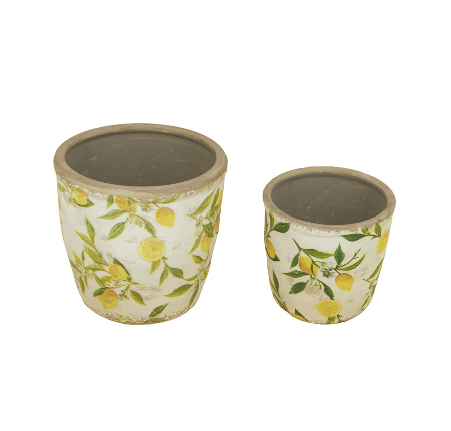 Lemon & Leaves Planter - Large