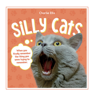 Silly Cats Book