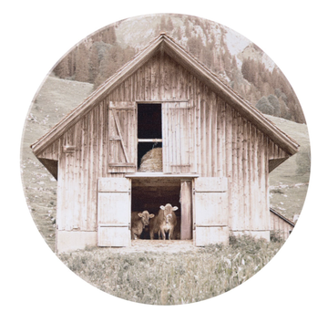 Rustic Meadow Barn Ceramic Coaster