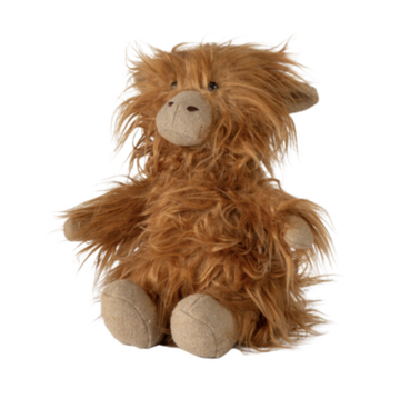 Little Mac the Highland Cow