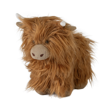 Mac the Highland Cow