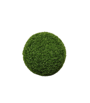 Conifer Ball