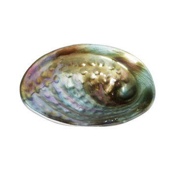 Pāua Bowl - Glass