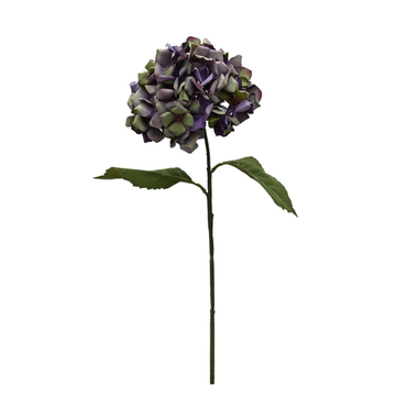 Annabelle Hydrangea - Purple