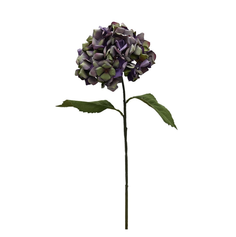 Annabelle Hydrangea - Purple