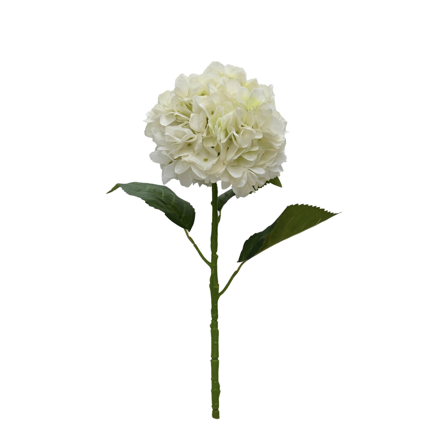 Heirloom Hydrangea - White
