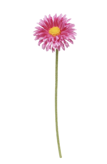 Single Mini Gerbera Pink