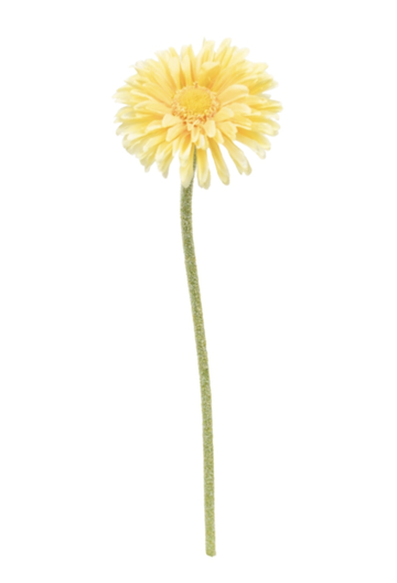 Single Mini Gerbera Yellow