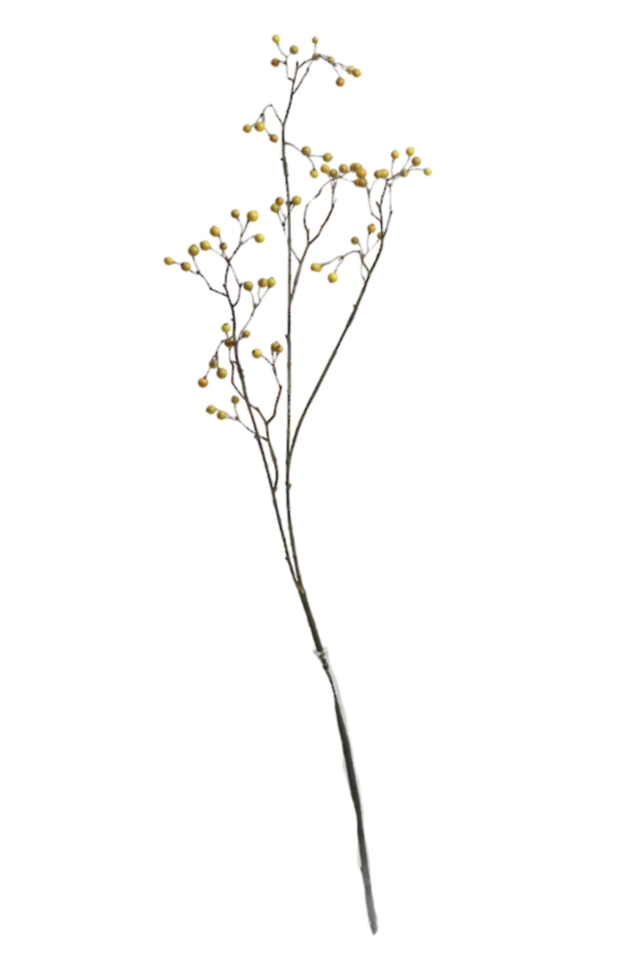 Long Berry Branch Green/Brown
