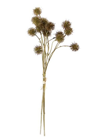 Sweet Chestnut Pod Bundle Brown