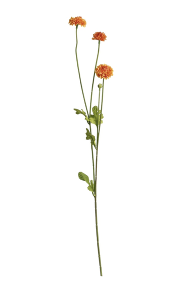 Pompom Spray x4 - Orange