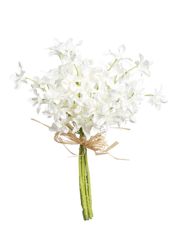 Dendrobium Bundle White