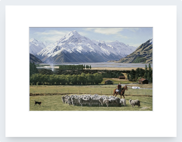 Glentanner Station Sheep Muster Art Print