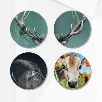 Kai Coaster Set