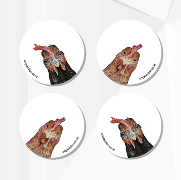 Chooks Coaster Set