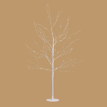 White Willow Tree