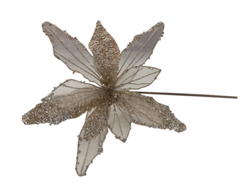 Champagne Glitter & Organza Poinsettia
