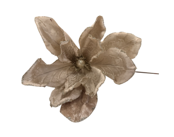 Champagne Magnolia Pick