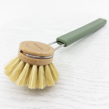 Dish Brush/Tampico - Sage