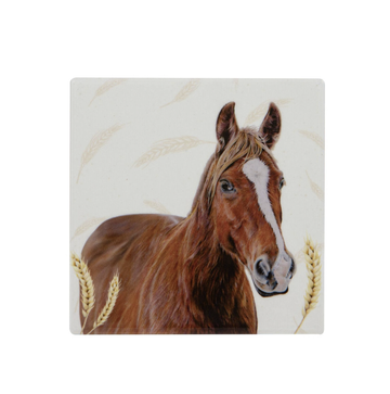 Farmyard Faces Square Ceramic Coaster - Horse