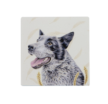 Farmyard Faces Square Ceramic Coaster - Blue Heeler