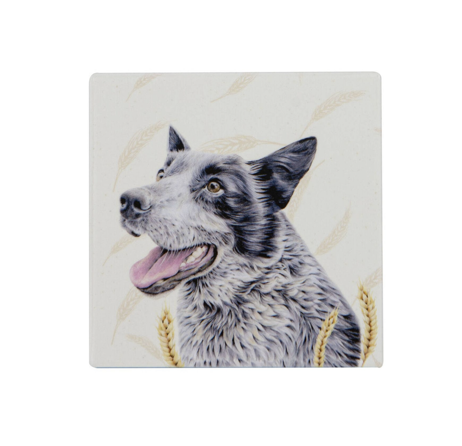 Farmyard Faces Square Ceramic Coaster - Blue Heeler