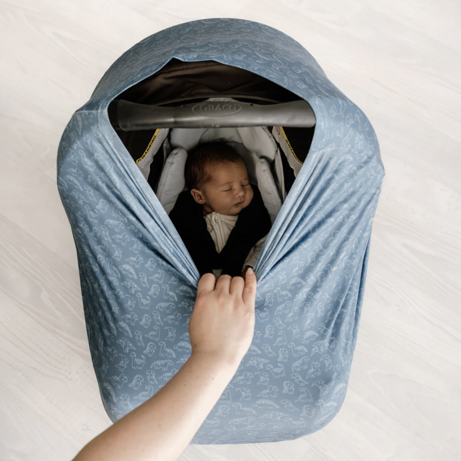 5 in 1 Multi-Use Cover - Rexy & Friends