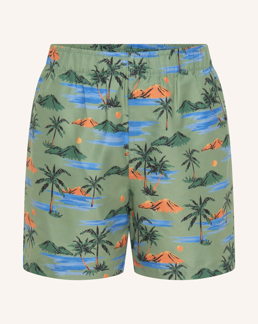 Island Getaway Volley Swim Short