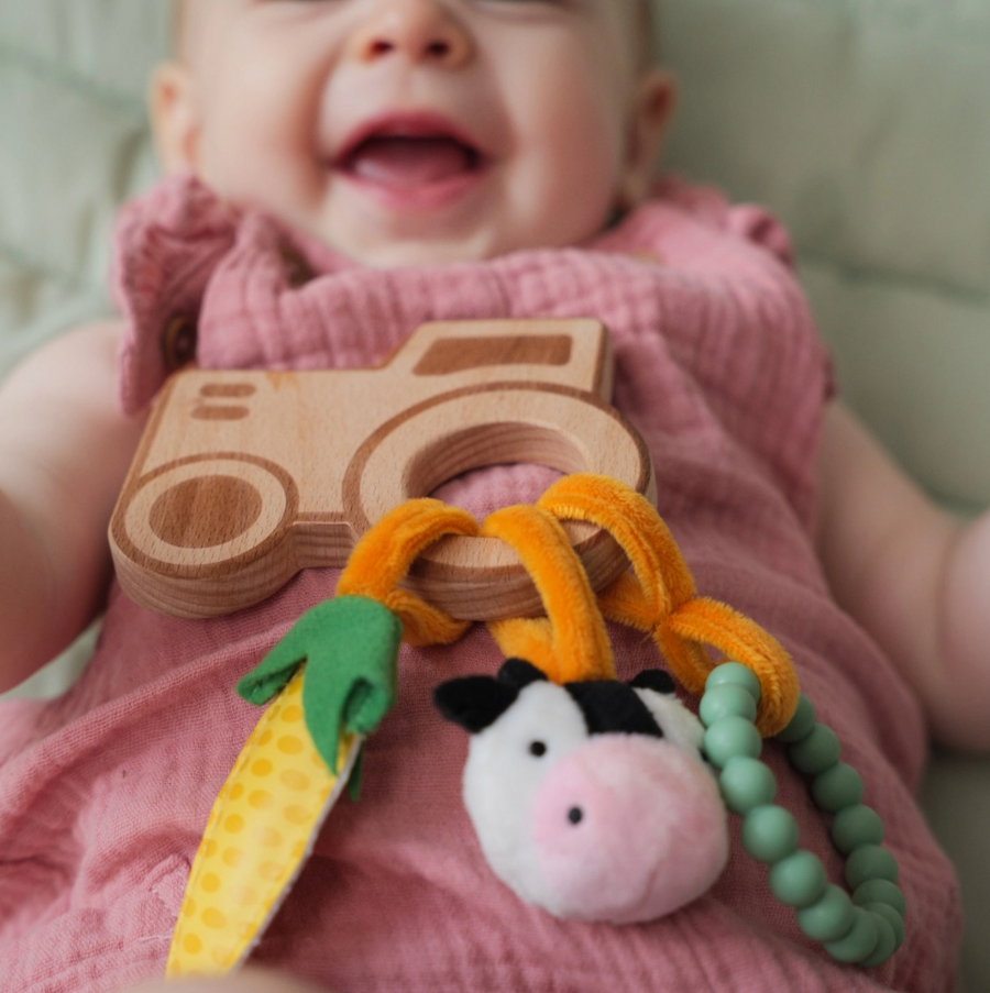 Wooden Rattle - Farm