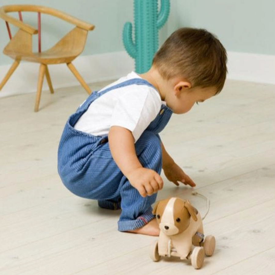 Pull Along - Adrien the Dog