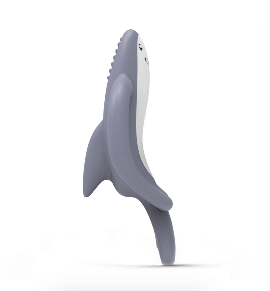 Animal Teether - Shreddy Shark