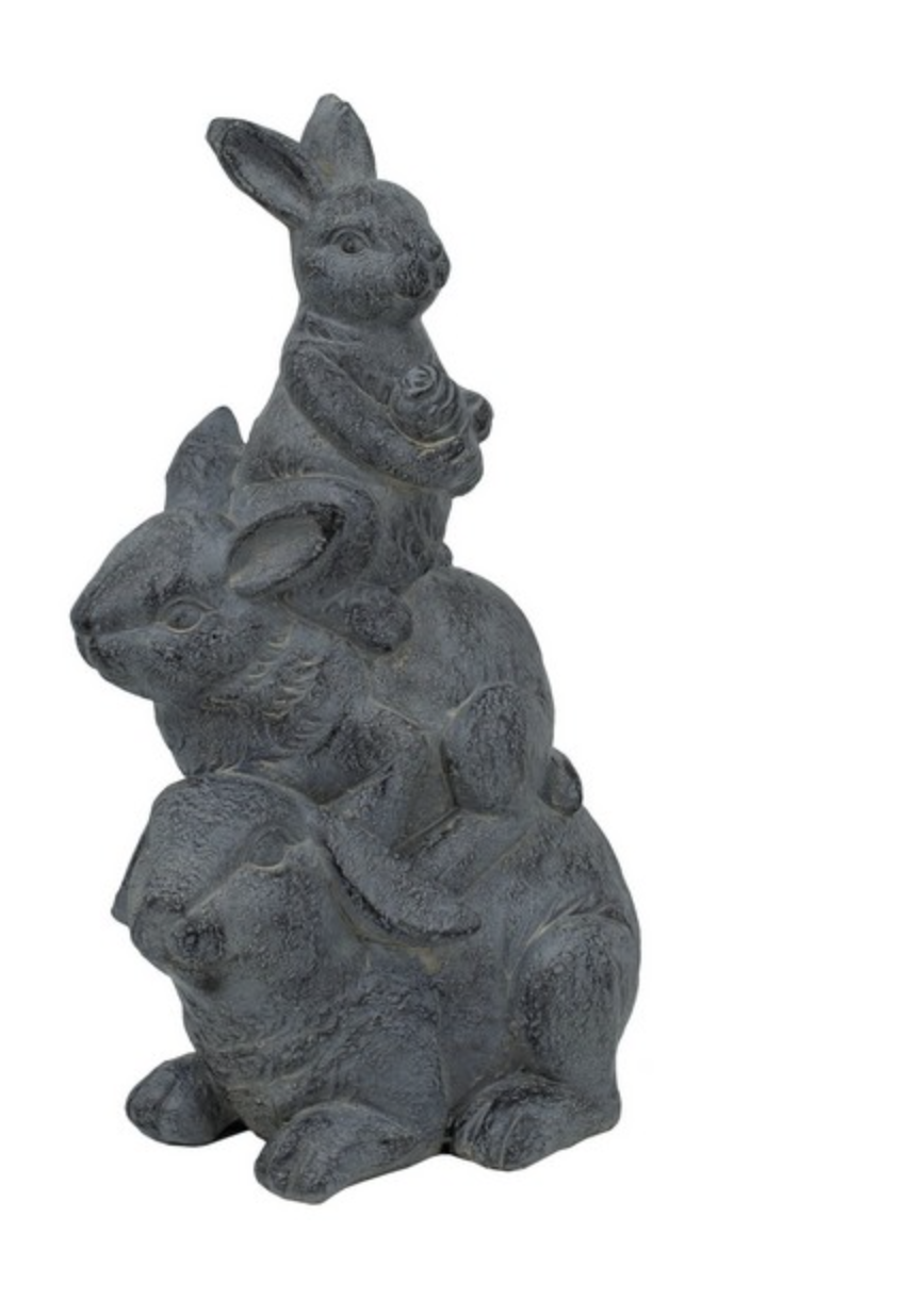 Rabbit Family