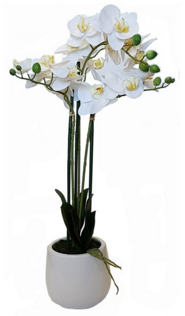 Real Touch Orchid 3 Spray
