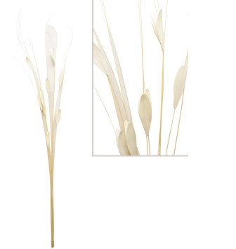 White Bamboo