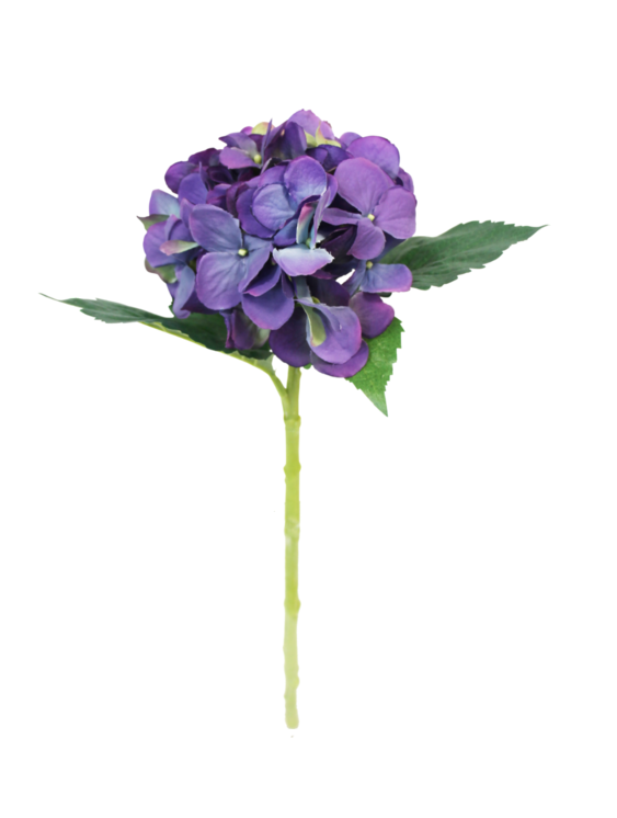 Water Stem Hydrangea - Purple