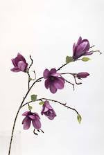 Tree Magnolia Branch. Dark Pink or Light Pink