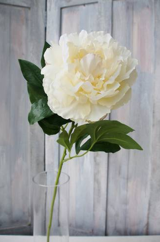 Duchess Peony Spray-Cream